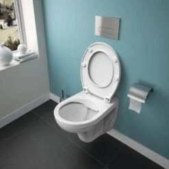 Ideal Standard WC-Paket Eurovit Ohne Spülrand Weiß -Günstiges AquaForma Geschäft 188868 3049 13